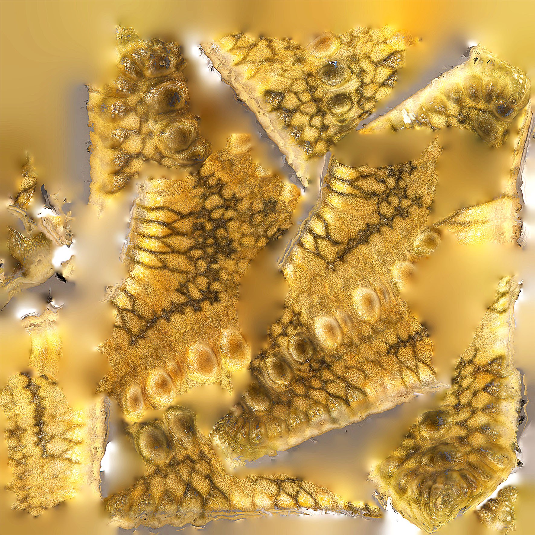 Texture map (No.02)
