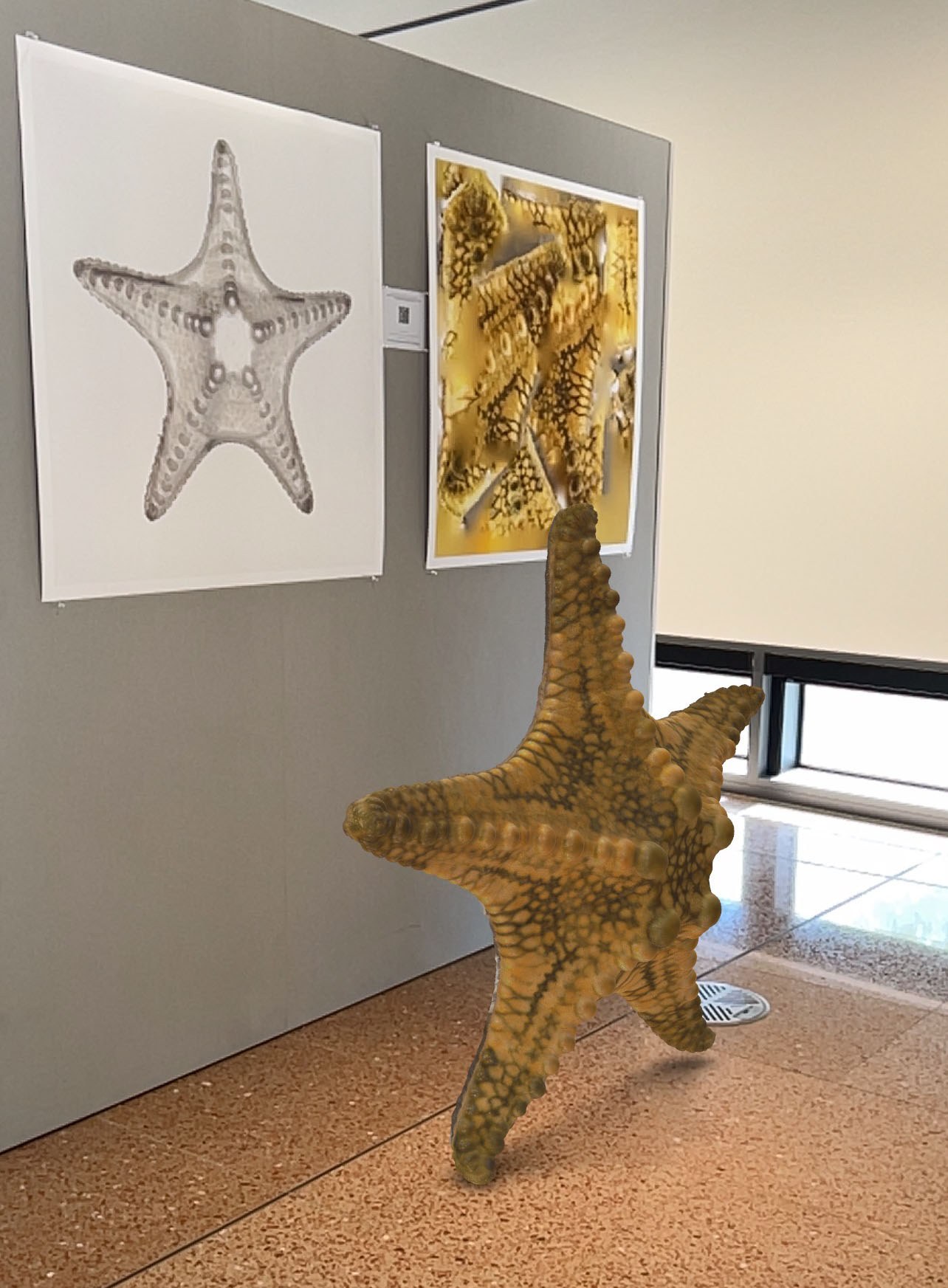 Installation with augmented starfish (No.03)