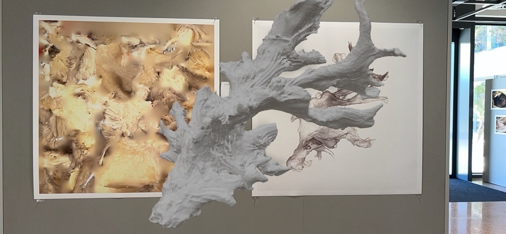 Installation with augmented object (No.06)
