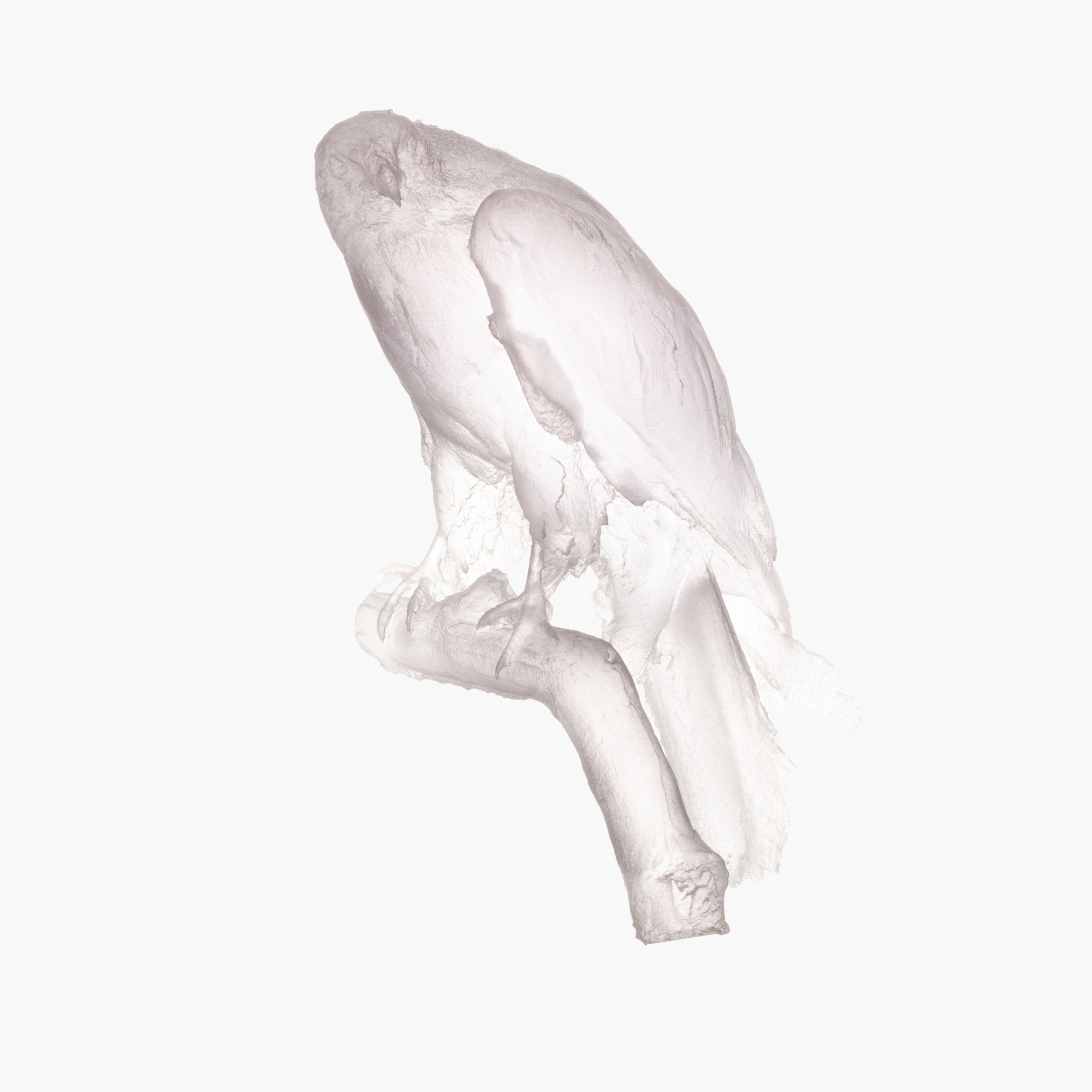 Clear 3D print (No.07)