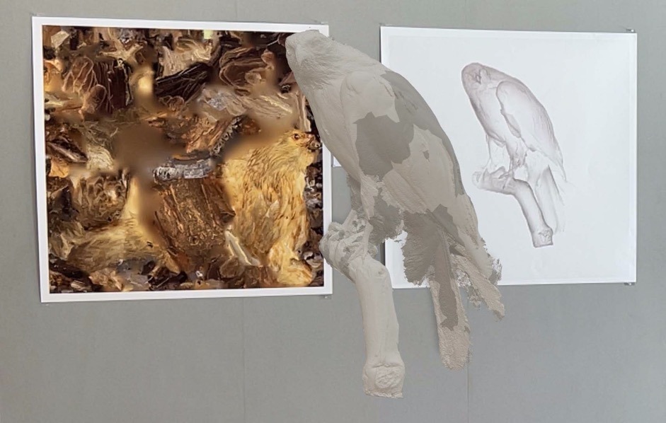 Installation with augmented object (No.09)