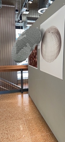 Installation with augmented object (No.12)