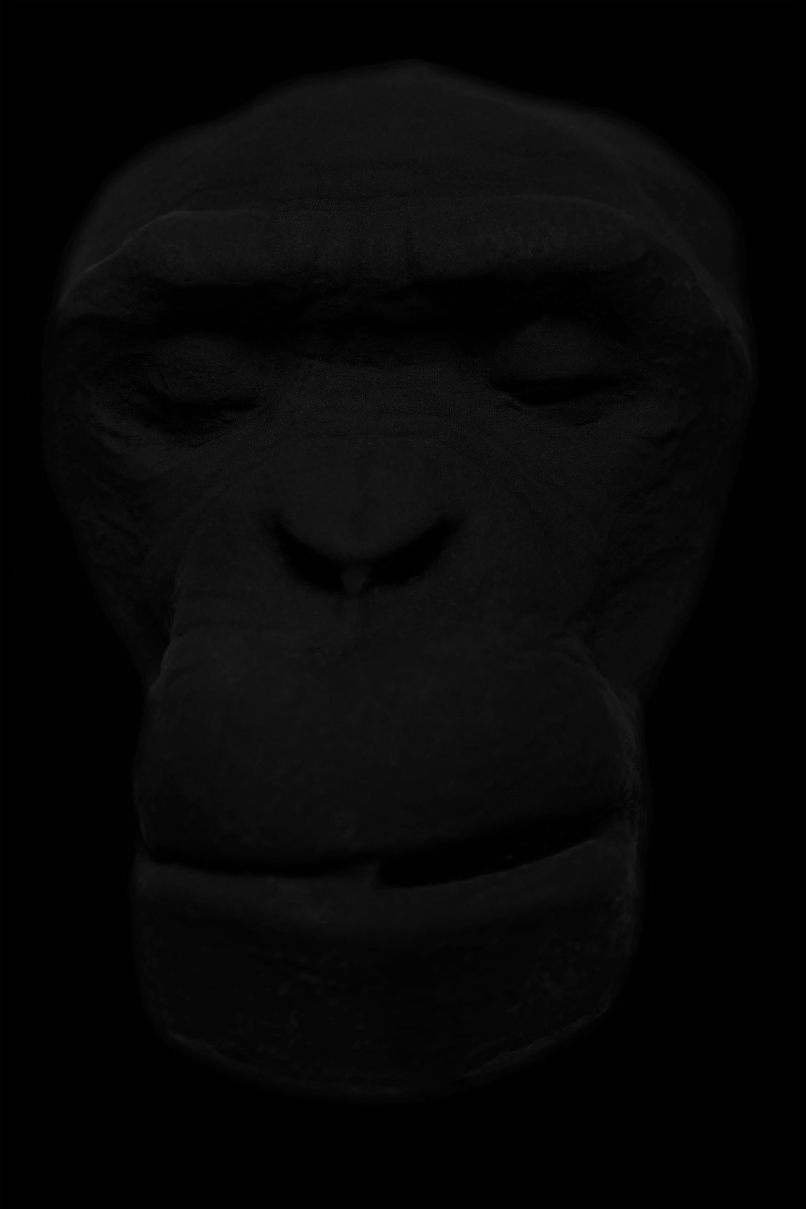 Death Mask of a Chimpanzee