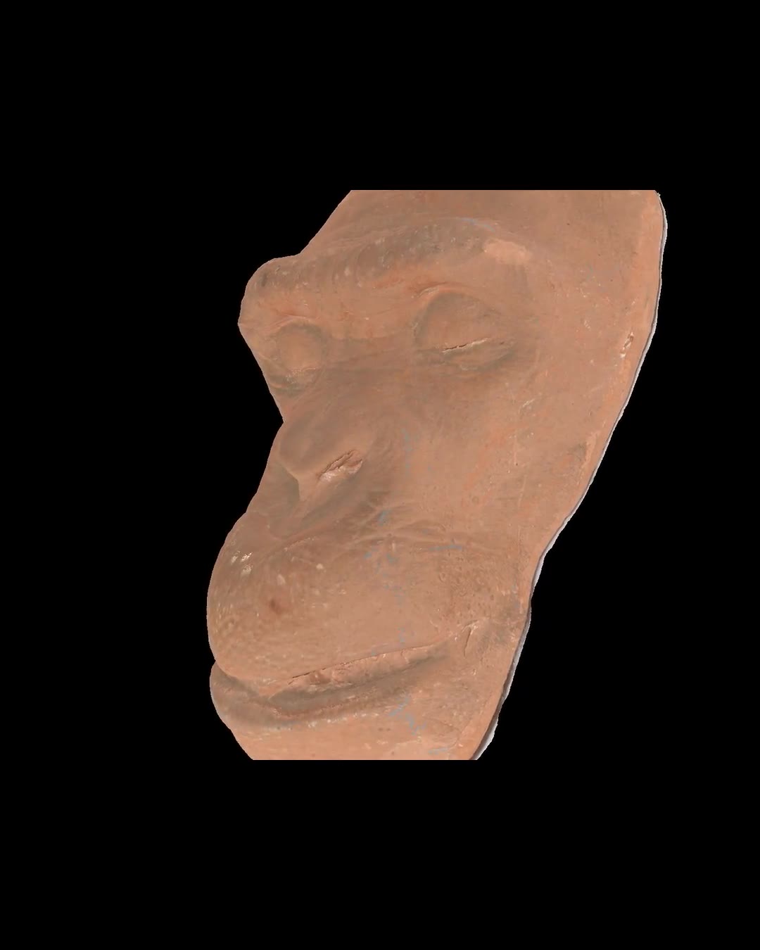 Death Mask of a Chimpanzee (animation)