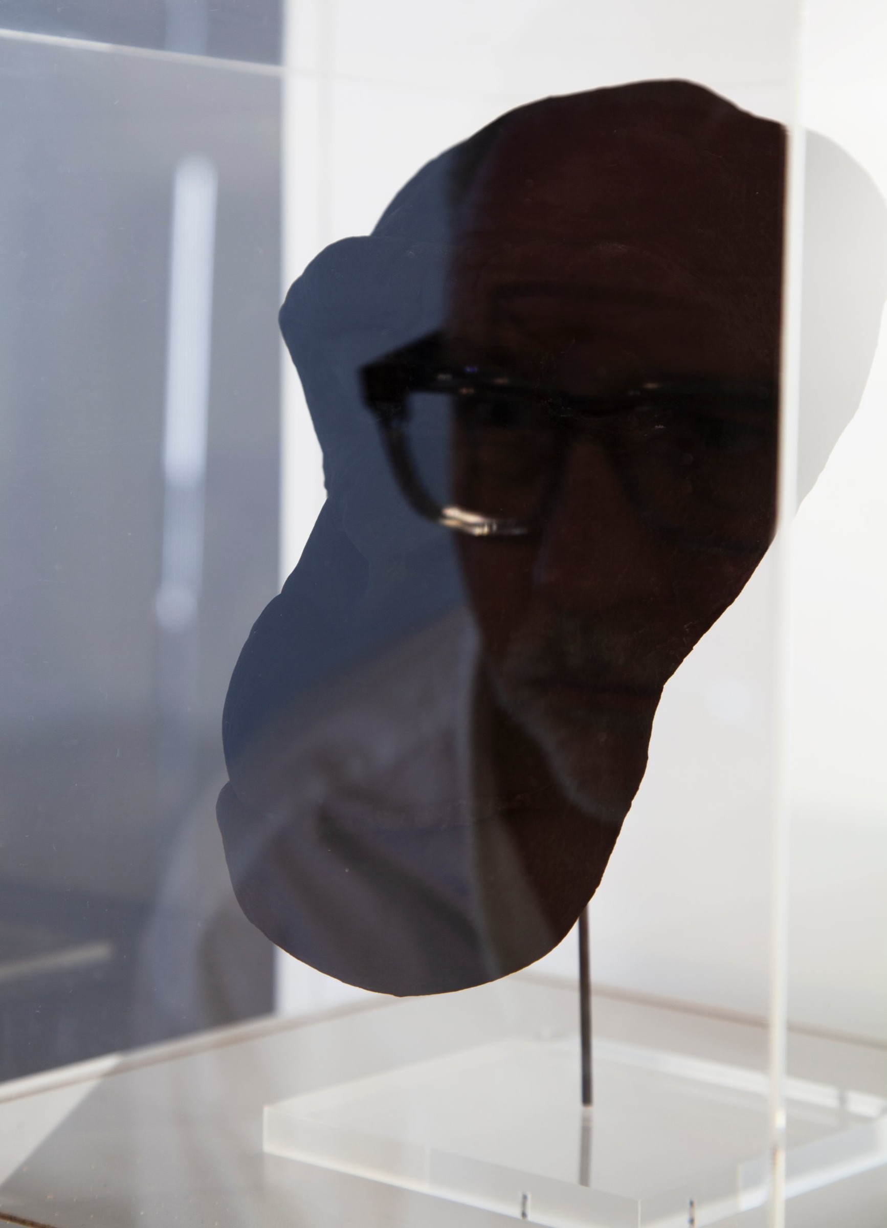 Death Mask of a Chimpanzee (3D print, MultiJet)