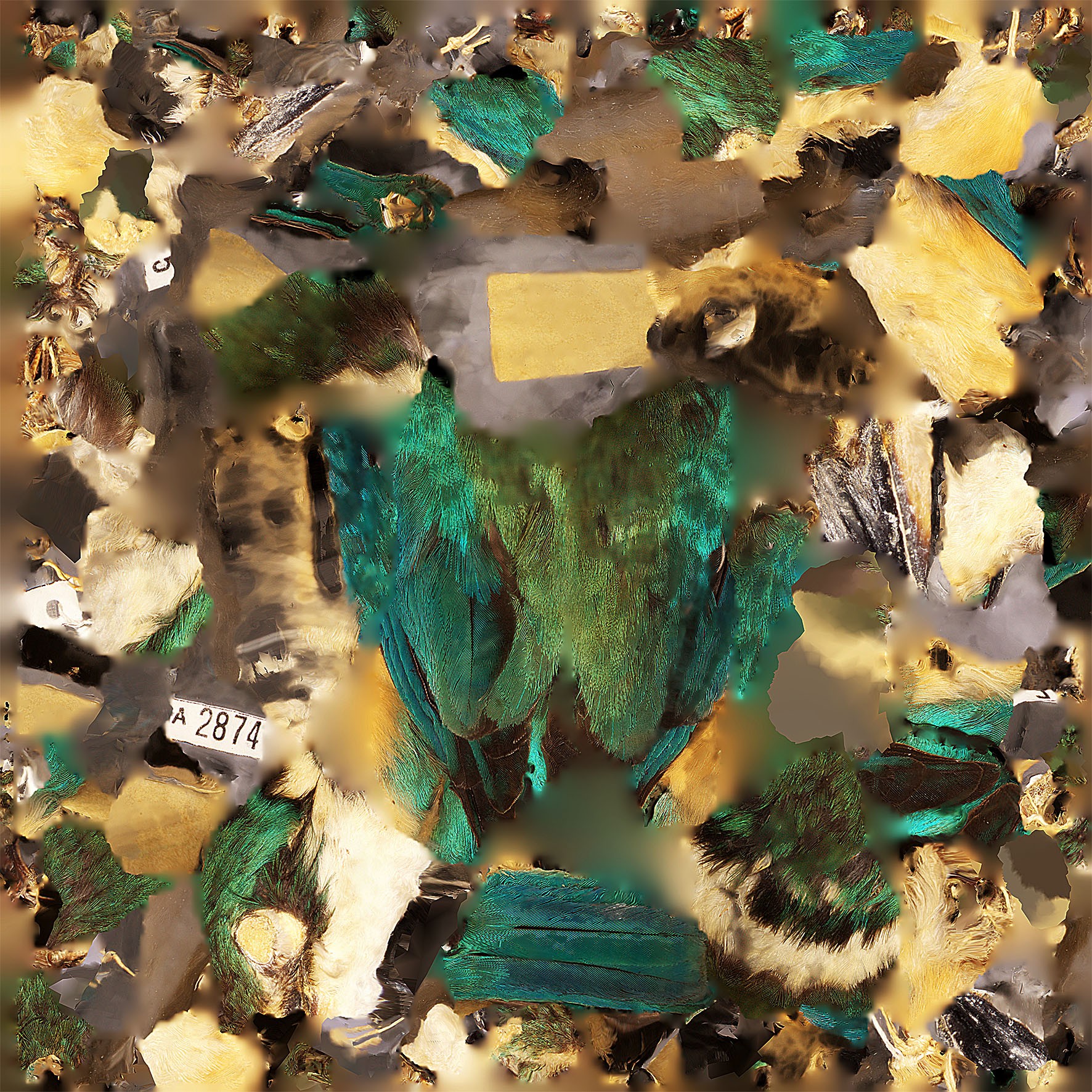 Texture Map No.01