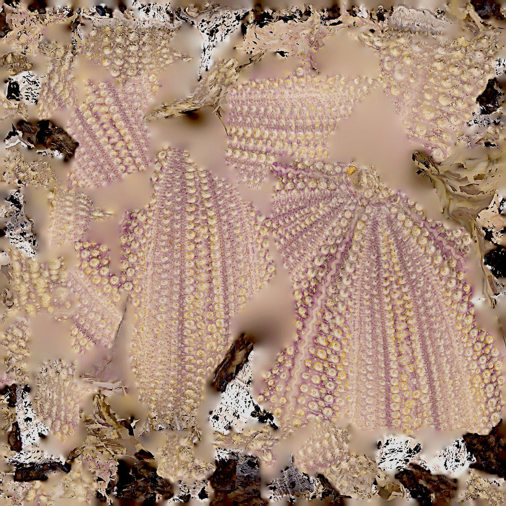 Texture Map No.11