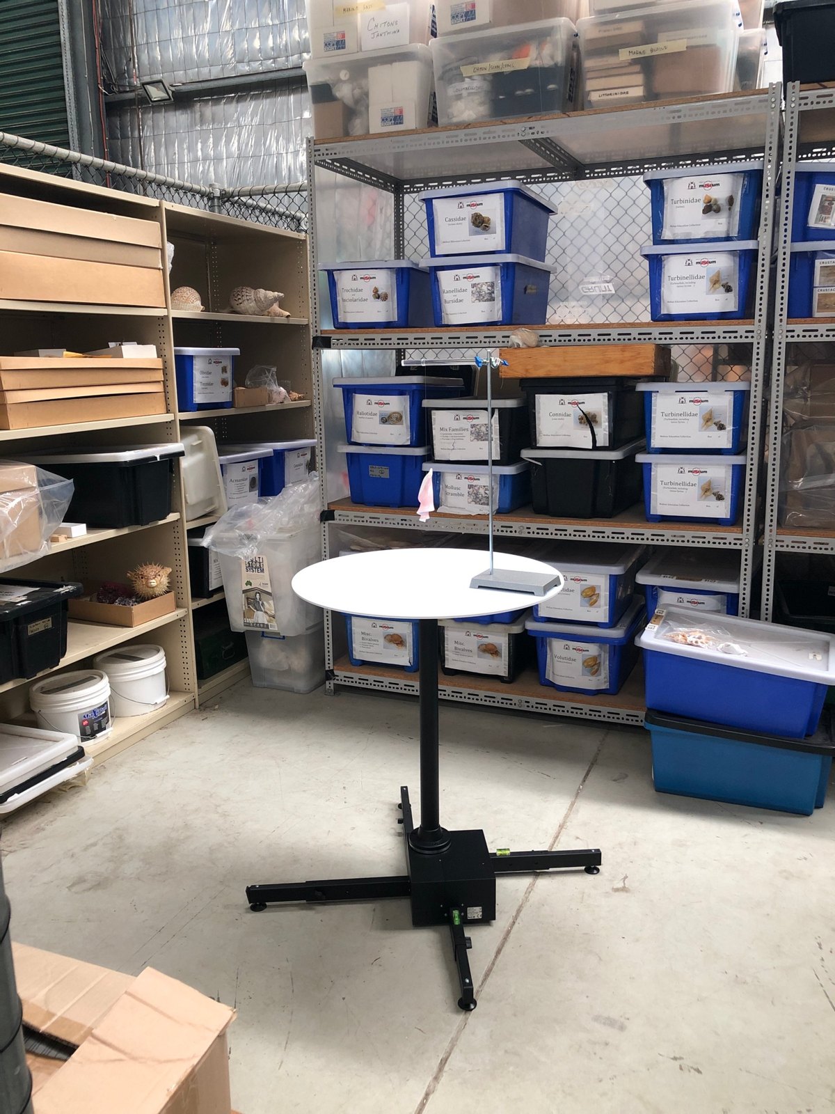 Photogrammetry set-up in museum storage: a turntable and suspension stand among the mollusc collection
