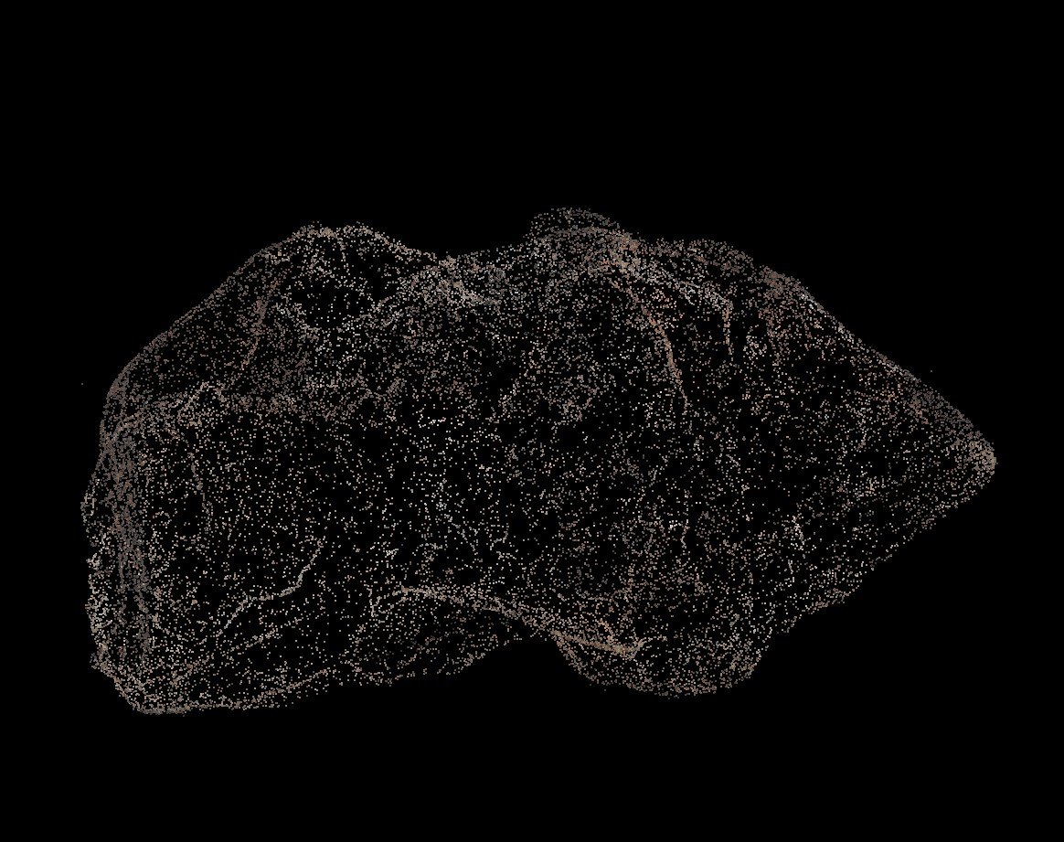 Point cloud generated from the photogrammetric scan of the meteorite