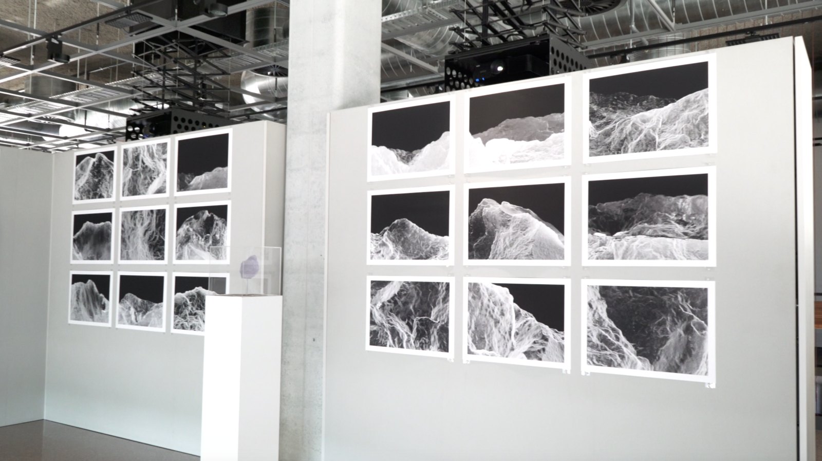 Installation view: prints in grids beside the 3D print in its case